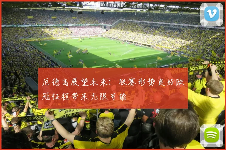 厄德高展望未来：联赛形势良好欧冠征程带来无限可能