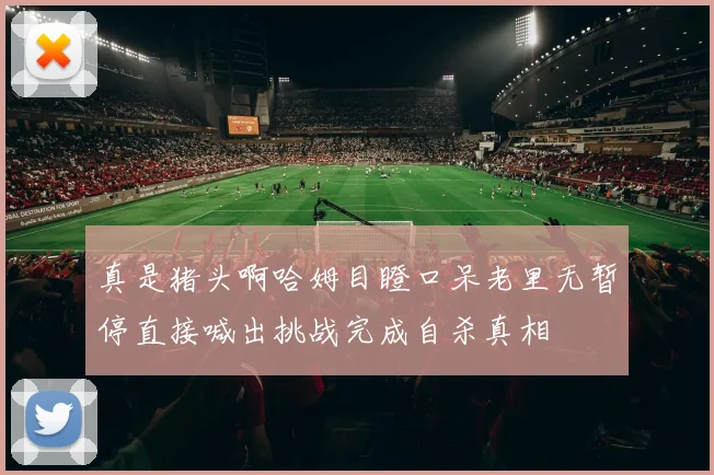 真是猪头啊哈姆目瞪口呆老里无暂停直接喊出挑战完成自杀真相